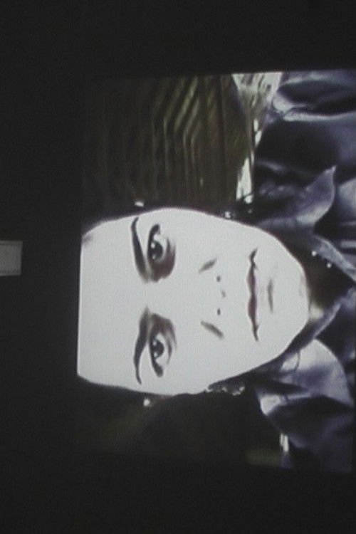 b-star, untötbar! (2009) poster