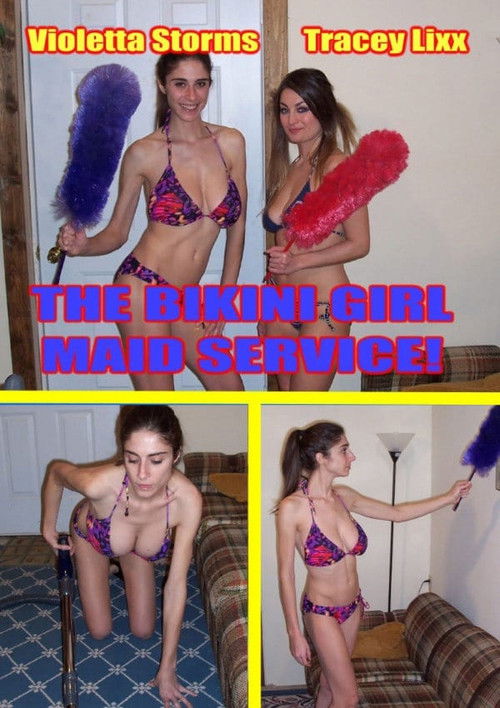 The Bikini Girl Maid Service (2012) poster