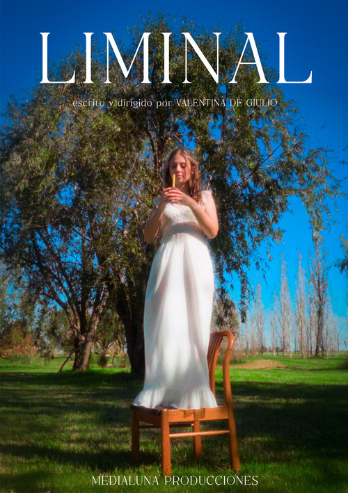 Liminal (2025) poster