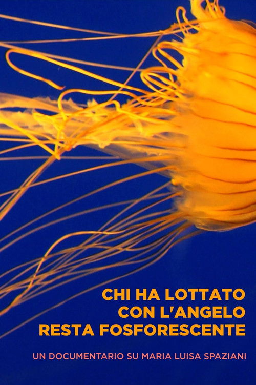 Chi ha lottato con l'angelo resta fosforescente (2013) poster