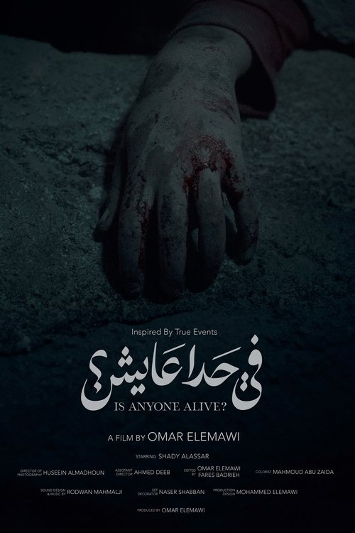 Is anyone alive? (2024) poster