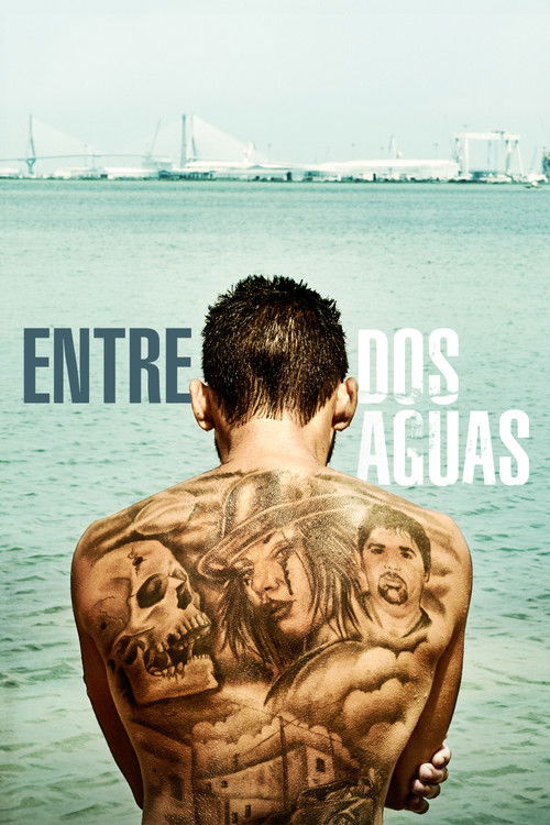 Entre dos aguas (2018) poster