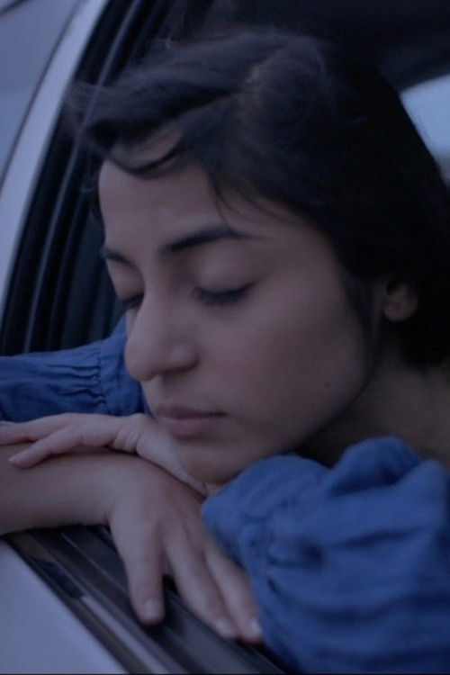 99¢ Dreams (2020) poster