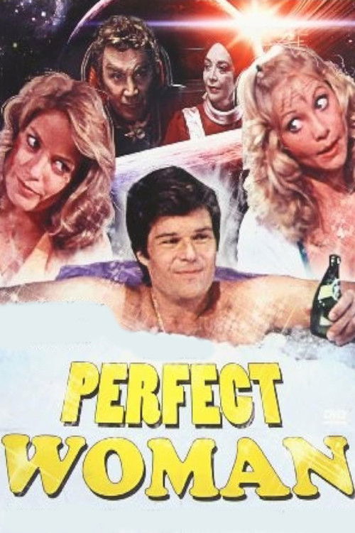 The Perfect Woman (1981) poster