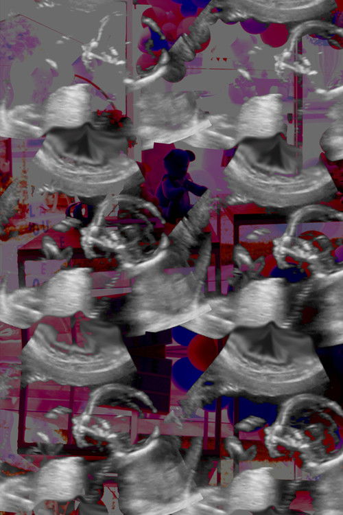 Não Coloque Palavras na Minha Boca (2019) poster