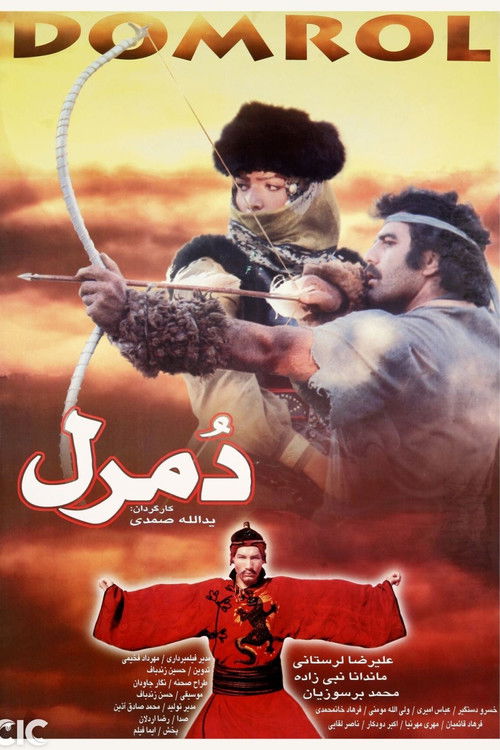 Domrol (1994) poster