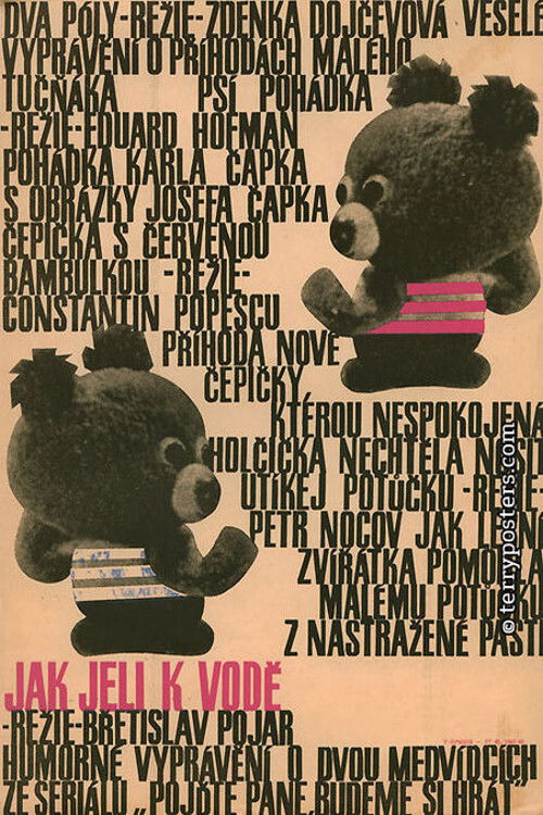 Hey, Mister, Let’s Play! How the Bears Went Swimming (1966) poster
