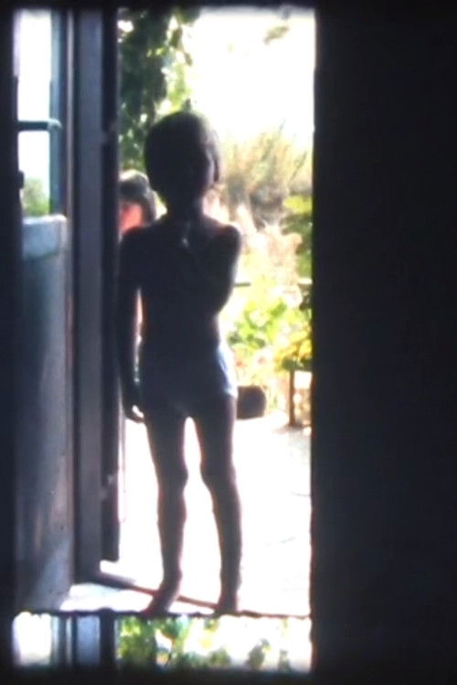 Polaroids (2015) poster