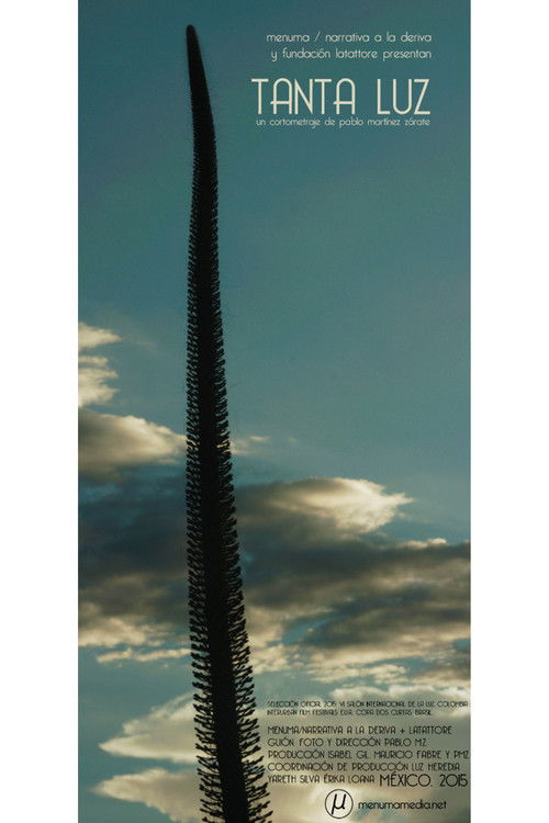 Tanta Luz (2015) poster