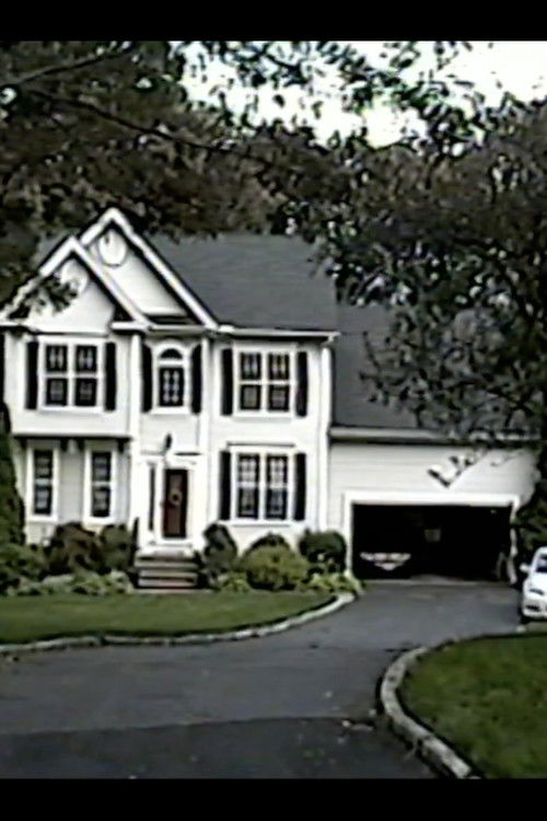 memory consolidation 01 (2025) poster