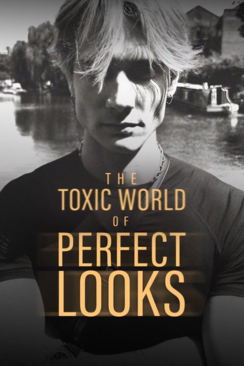 The Toxic World Of Perfect Looks (2024) poster