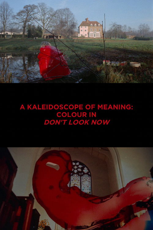 A Kaleidoscope of Meaning: Colour in Don't Look Now (2019) poster
