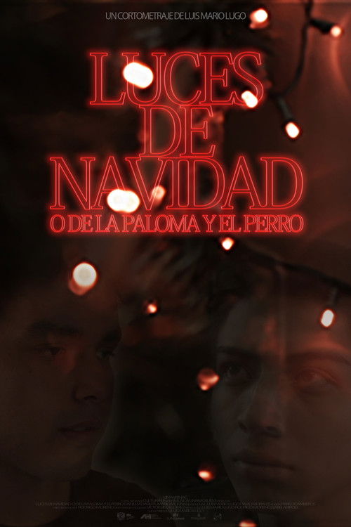 Luces de navidad o de la paloma y el perro (2020) poster