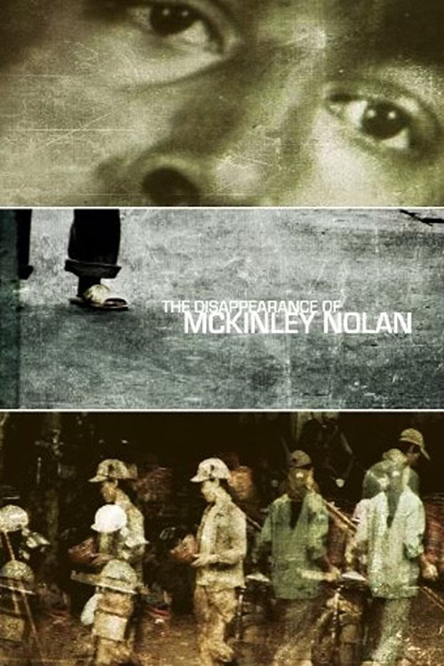 The Disappearance of McKinley Nolan (2010) poster