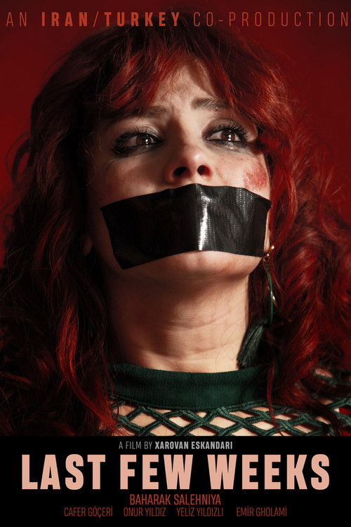 Last Few Weeks (2018) poster