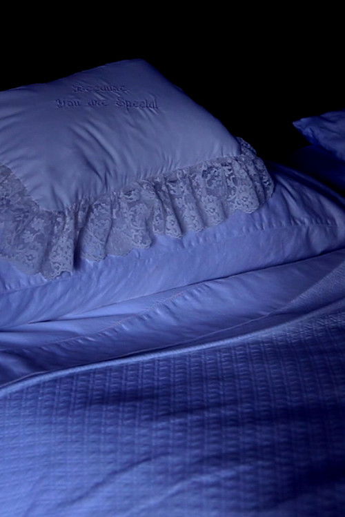 Figure Minus Fact (2020) poster