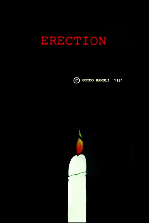Erection (1981) poster