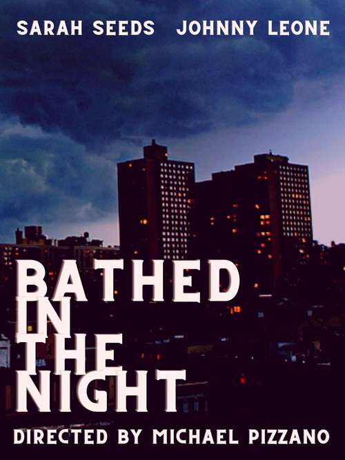 Bathed in the Night (2025) poster