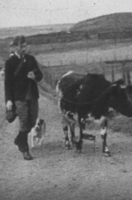 A Cattle Sale (1932) poster