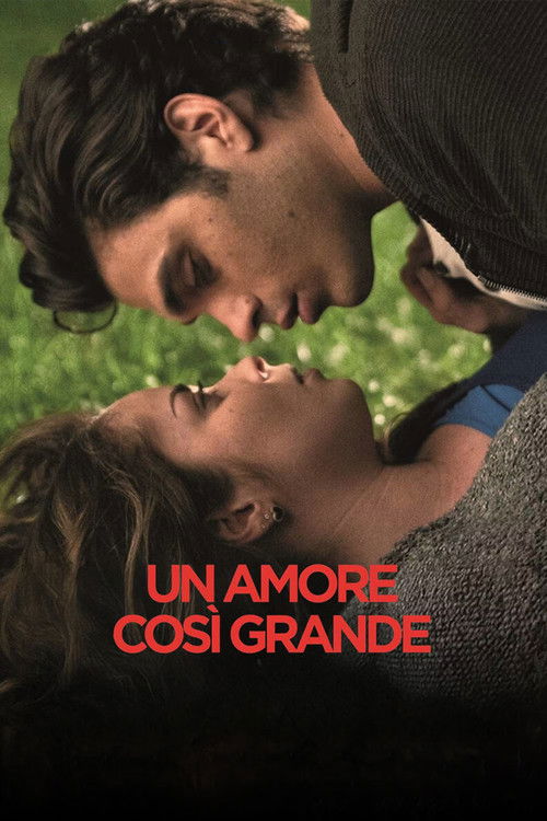 Un Amore così grande (2018) poster
