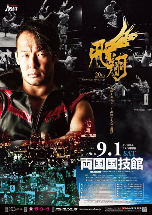 NOAH: Naomichi Marufuji 20th Anniversary Show (2018) poster