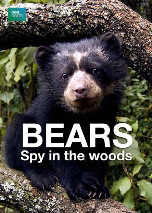 Bears: Spy in the Woods (2004) poster