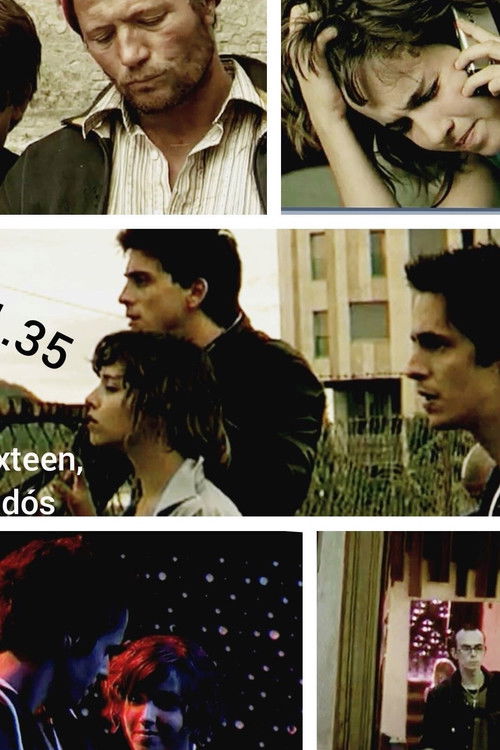 Sweet Sixteen, a hazudós (2011) poster