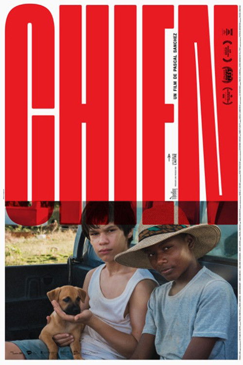 Dog (2019) poster
