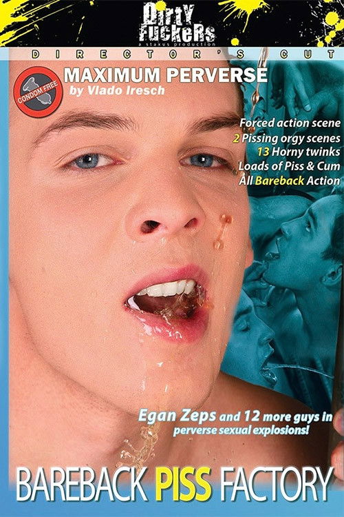 Bareback Piss Factory (2009) poster