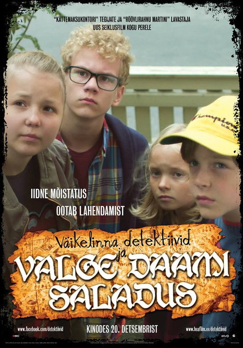 Väikelinna detektiivid ja valge daami saladus (2013) poster