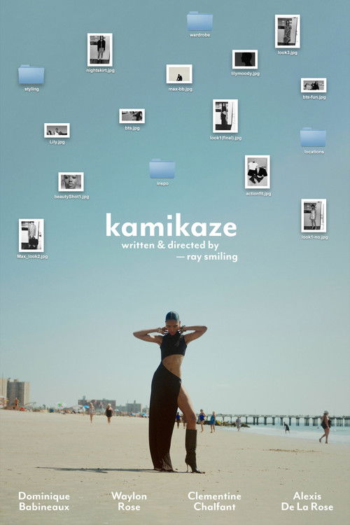 kamikaze (2025) poster