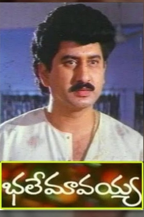 Bhale Mavayya (1994) poster