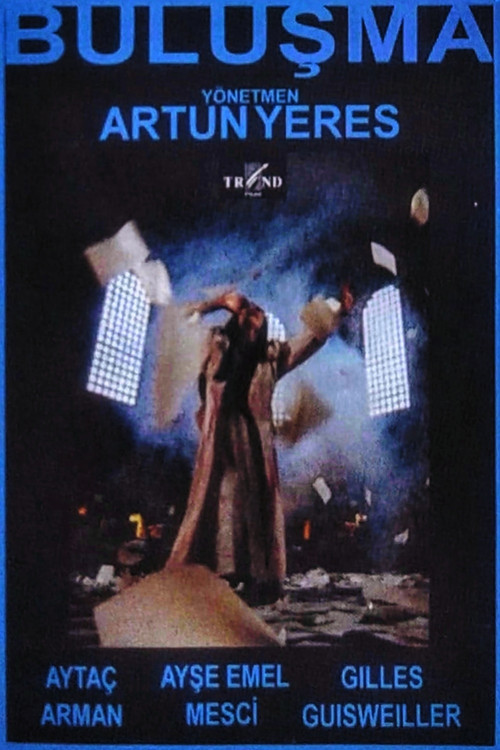 Buluşma (1994) poster