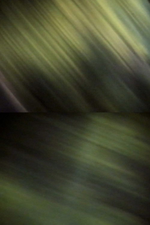 E lei si scordò (2008) poster