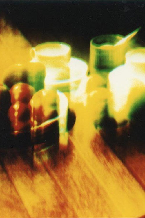 Garden of Chromatic Disturbance (1998) poster