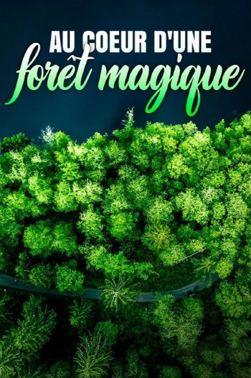 Au cœur d'une forêt magique (2023) poster
