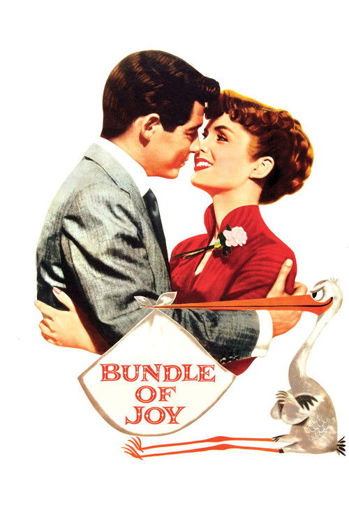 Bundle of Joy (1956) poster