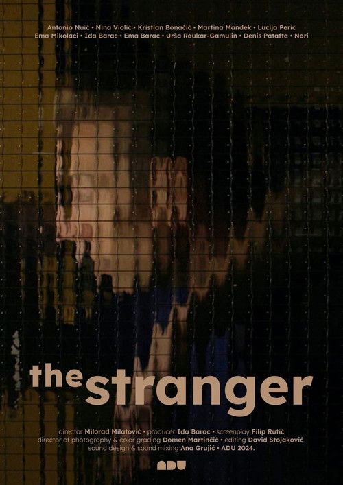 The Stranger (2024) poster