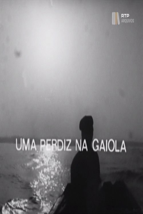 Uma Perdiz na Gaiola (1976) poster