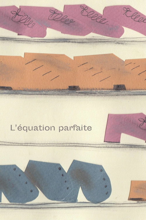 The Perfect Equation poster