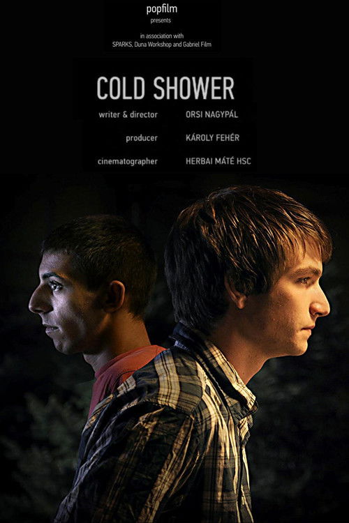 Cold Shower (2010) poster