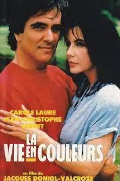 La vie en couleurs (1989) poster