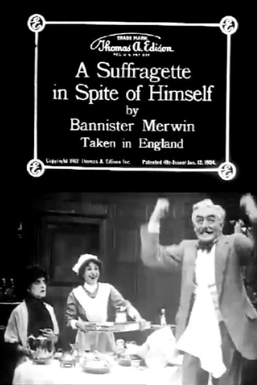 A Suffragette in Spite of Himself (1912) poster