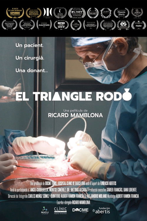 El triangle rodó (2020) poster