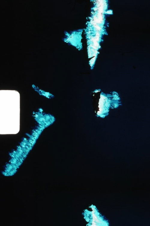 Ugrizni me. Že enkrat. (1980) poster