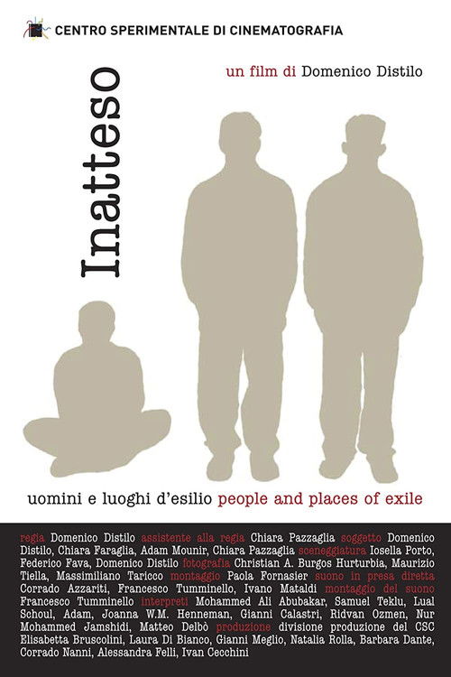 Inatteso (2005) poster