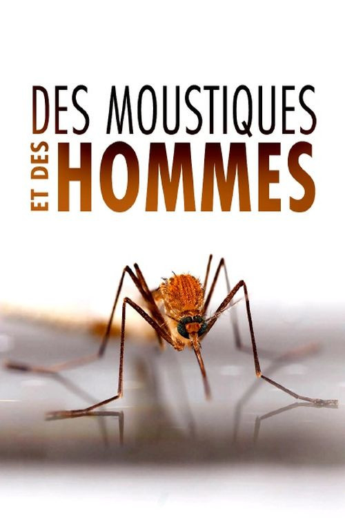 Des Moustiques et des Hommes (2022) poster