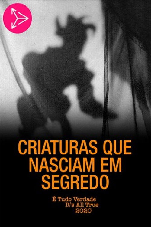 Criaturas Que Nasciam em Segredo (1995) poster