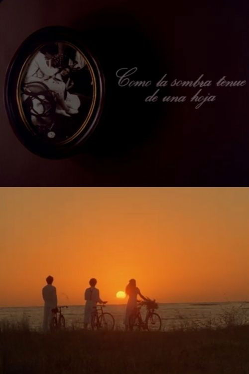 Como la sombra tenue de una hoja (1985) poster