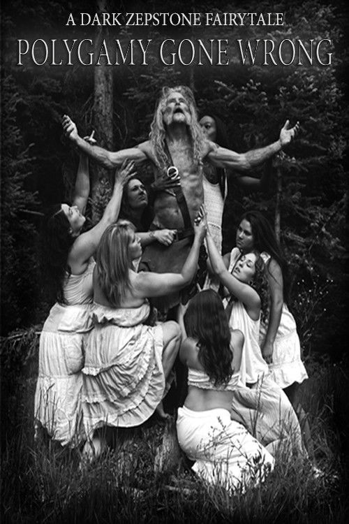 Polygamy Gone Wrong (2020) poster